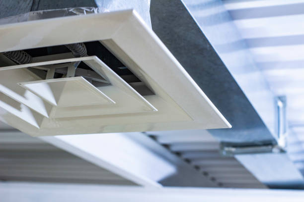 Best Professional Duct Cleaning Services  in Meadow Woods, FL