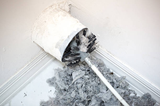 Best Dryer Vent Cleaning Services  in Meadow Woods, FL
