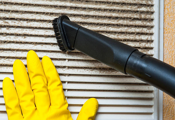 Best Best Air Duct Cleaning Company  in Meadow Woods, FL